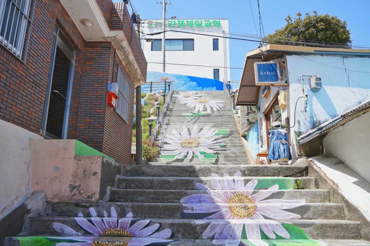 5월 경주 여행지 추천 감포해국길 / 사진=경주문화관광