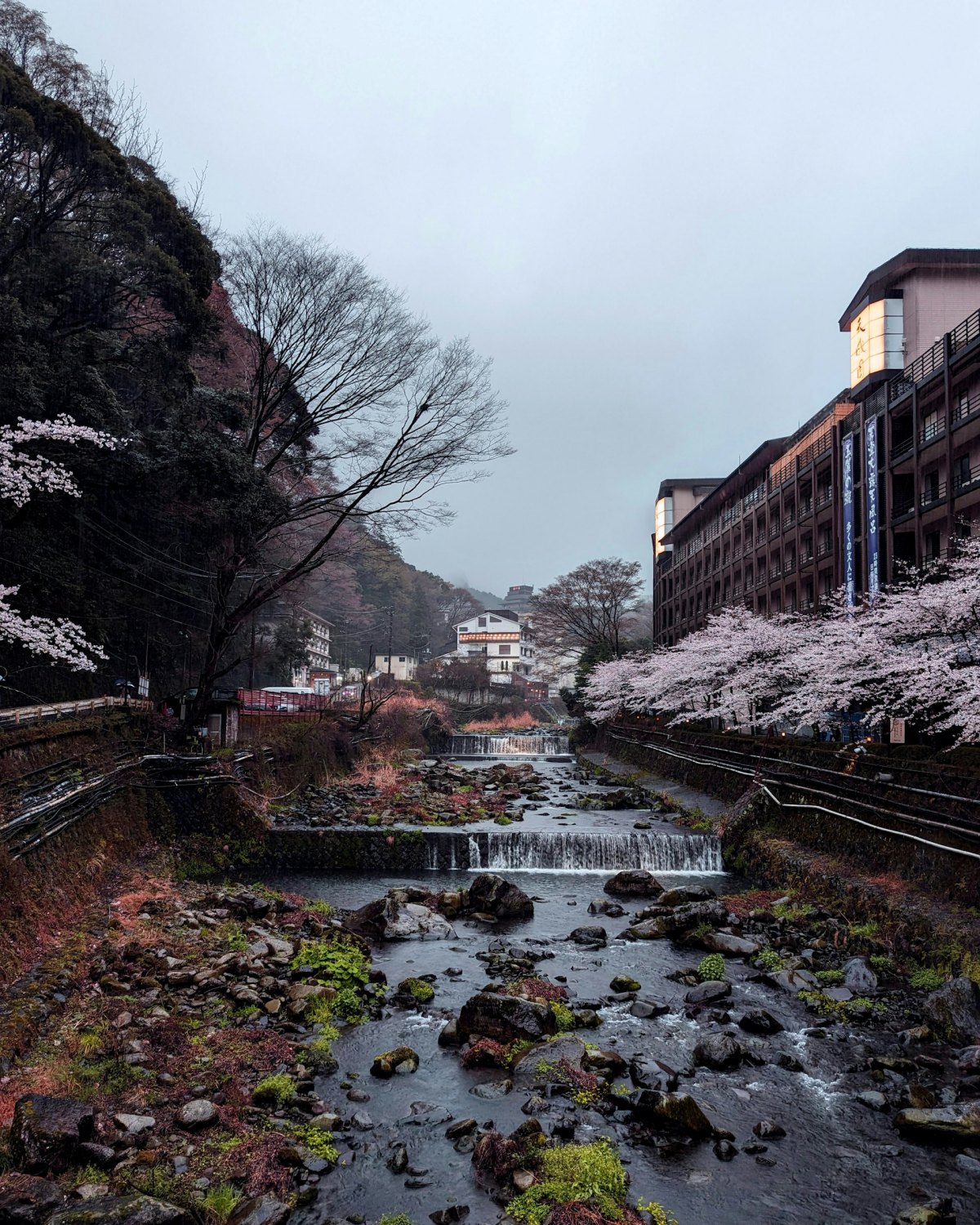 사진=unsplash@Matt & Chris Pua