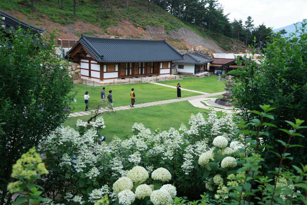 수선사 수국 / 사진=공공누리@산청군