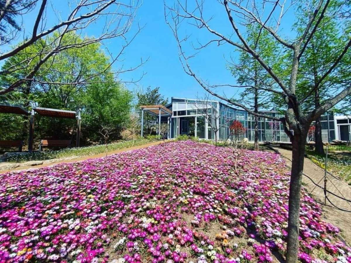 설악산 생태계 압축 식물원 / 사진=한국관광콘텐츠랩