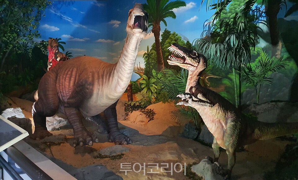 한국자연사박물관 1층 전시관에서는 1억 5천만 년 전 지구상에서 그 모습을 감춘 거대한 공룡 골격과 실제 공룡화석 및 발굴과정, 공룡시대 생태 및 디오라마가 전시되어 있으며 한반도에서 발견된 공룡 발자국 화석의 분포도로 함께 확인할 수 있다./ 한국자연사박물관 제공