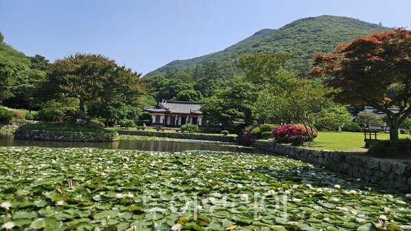 운림산방 ⓒ투어코리아