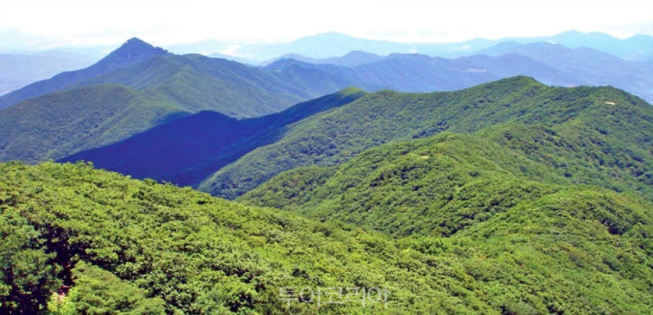  백운산 전경/사진-광양시