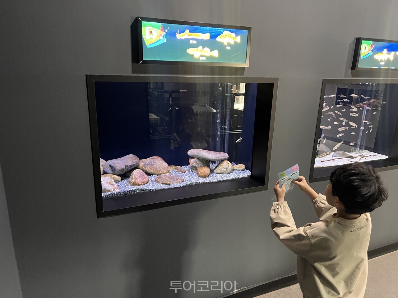민물고기 스티커를 들고 북벽물고기정원을 탐험하는 아이 /사진-단양군