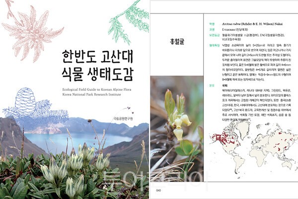 사진 / 도감 표지 및 한반도 고산식물 홍월귤의 형태적·생태적 특징, 분포 정보