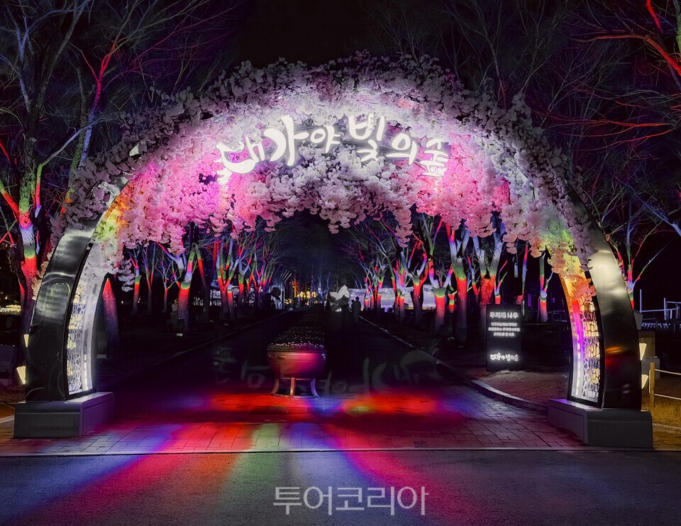 대가야수목원 대가야빛의숲 입구/사진=경북문화관광공사