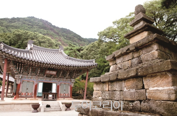 도리사