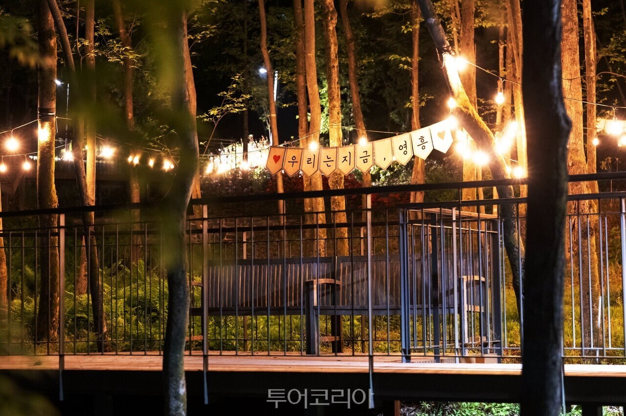 영흥수목원 야간/사진-수원시