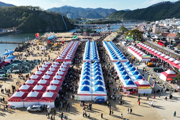 사진은 작년 청송사과축제장 모습./사진-청송군