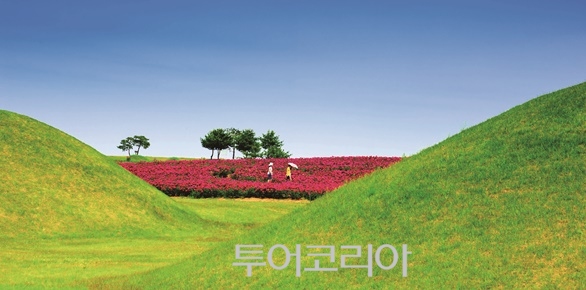 의성 조문국 사적지-작약꽃이 있는 풍경/ⓒ오승훈 / 사진-한국관광공사 
