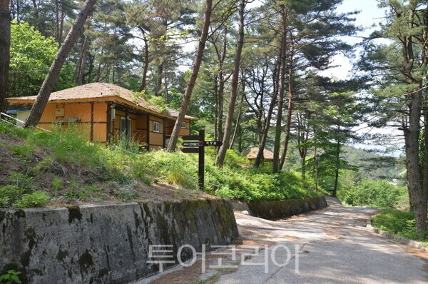 흥부골자연휴양림