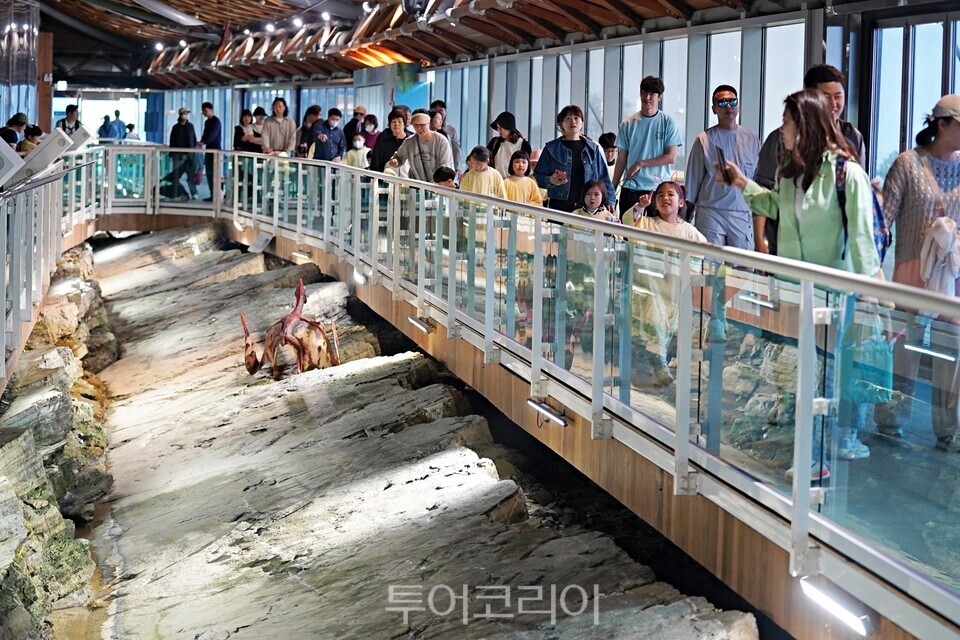 어린이 공룡 화석탐험/사진=해남군
