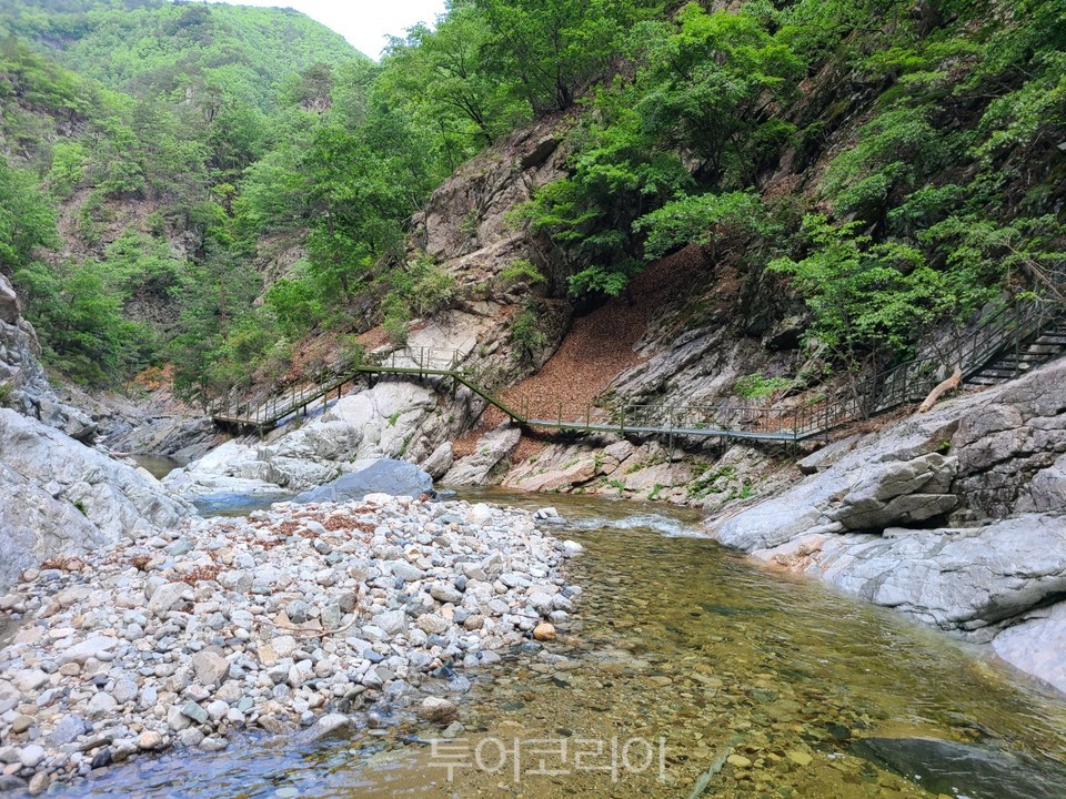 덕풍계곡 생태탐방로 / 사진-삼척시
