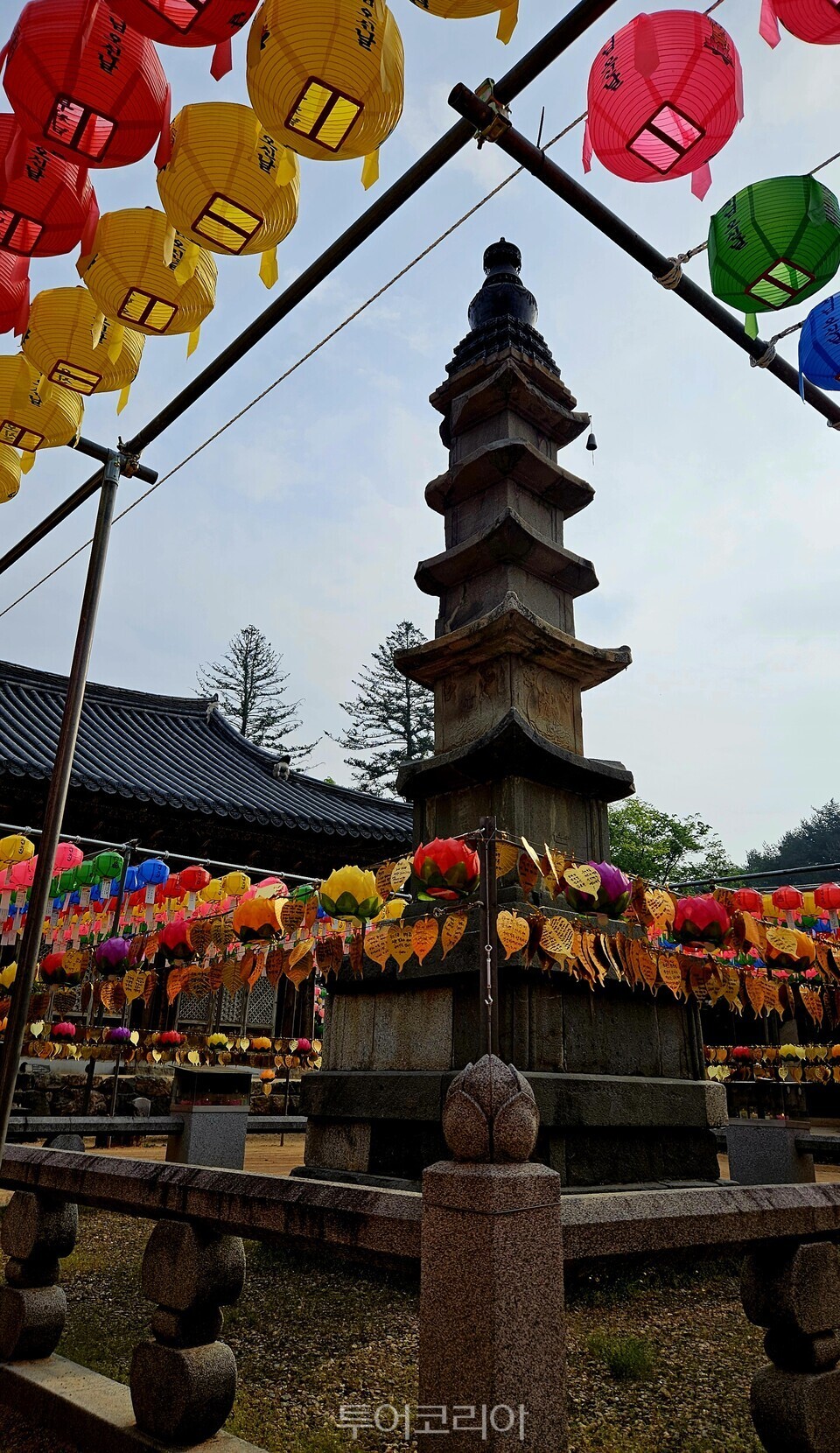 오층석탑/사진=유경훈 기자