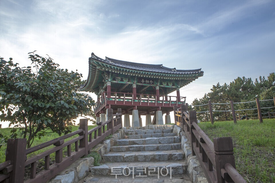 마량리 동백나무숲 /ⓒ투어코리아