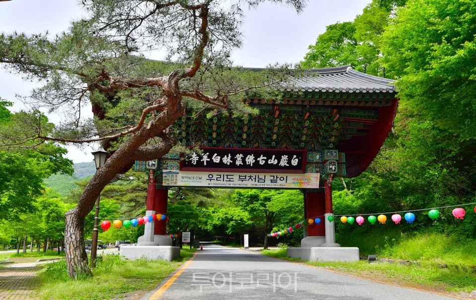 장성 백양사/사진-장성군