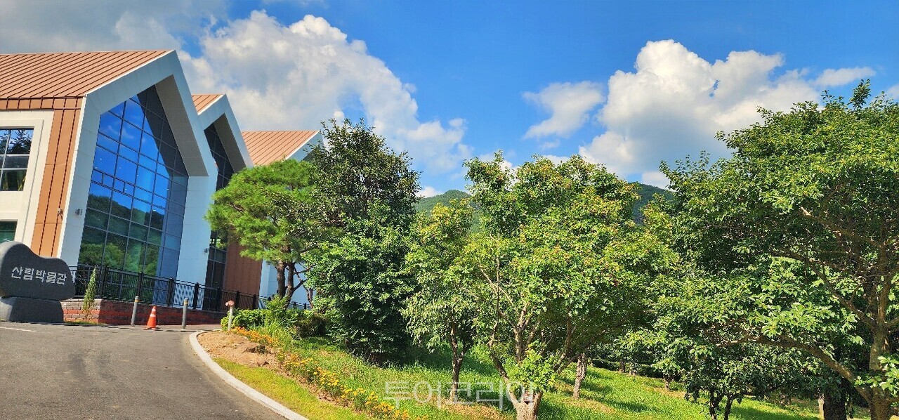 백운산 계곡  백운산자연휴양림 캠핑장  백운산 등산로  백운산산림박물관  백운산 전경/사진-광양시