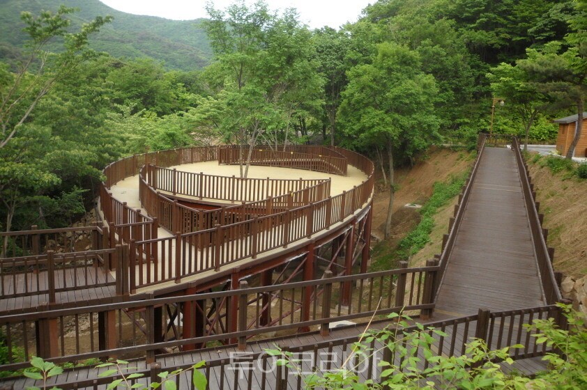 운문산 숲 뎈로드/사진=산림청