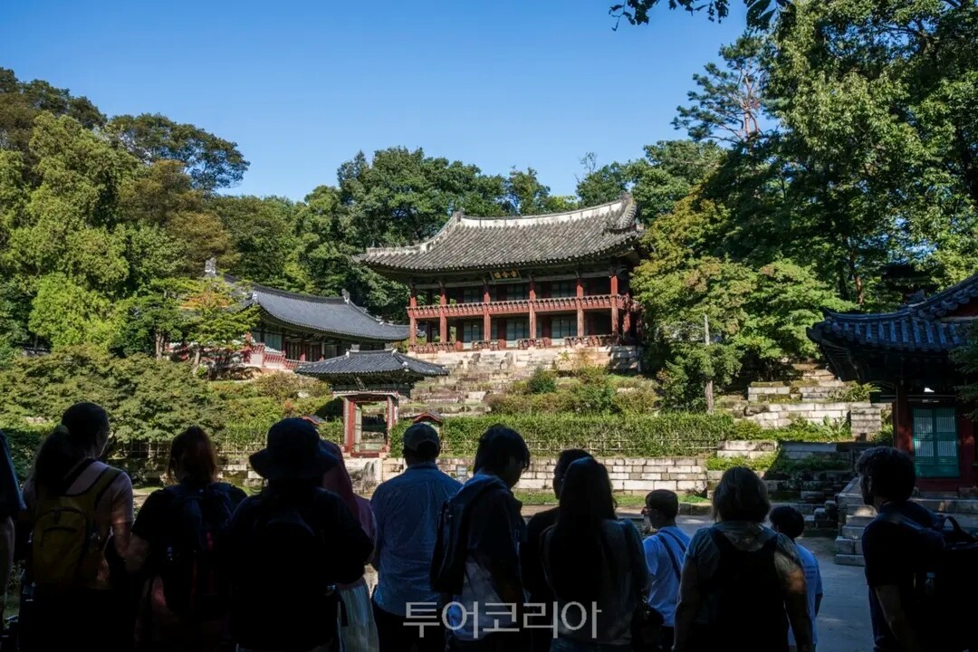 덕궁 무언자적, 왕의 아침 정원을 거닐다 프로그램에 참여한 외국인 관광객들이 고즈넉한 궁궐을 산책하고 있다/사진=크리에이트립