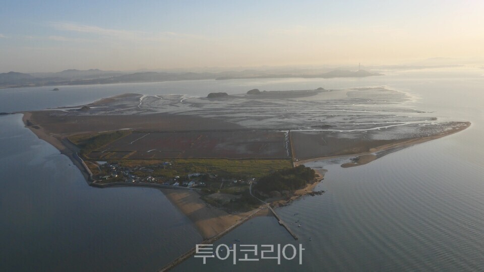 서천 갯벌/사진=서천군