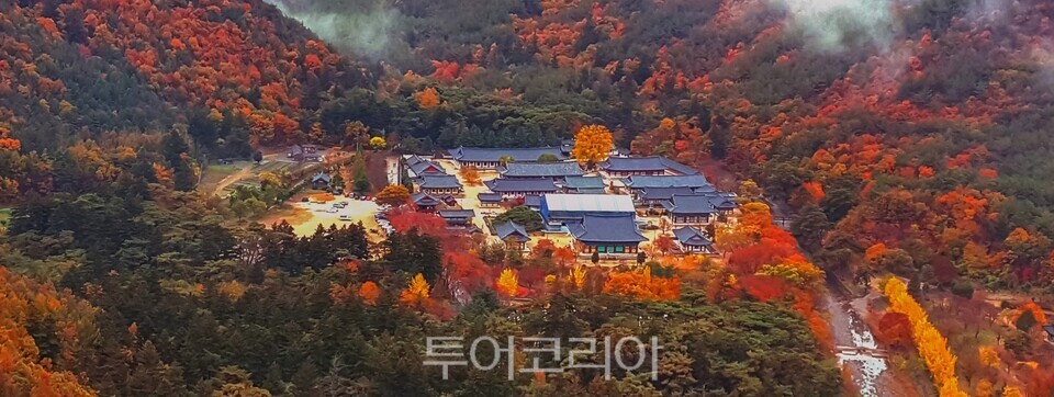 운문사 가을풍경/사진=청도군