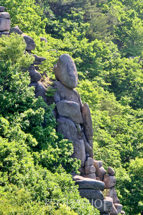 백양사/사진-부산시