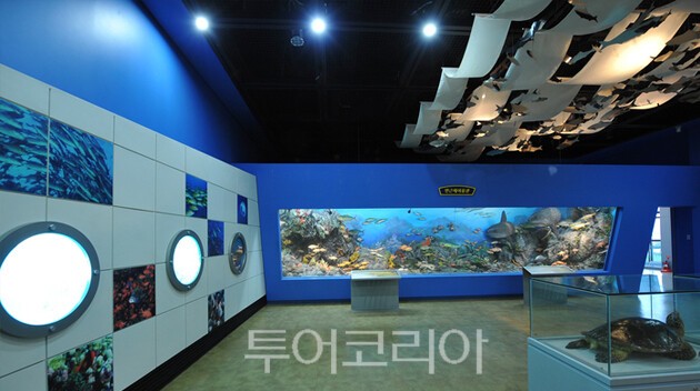 진도해양생태관/사진 제공=  해양생태관