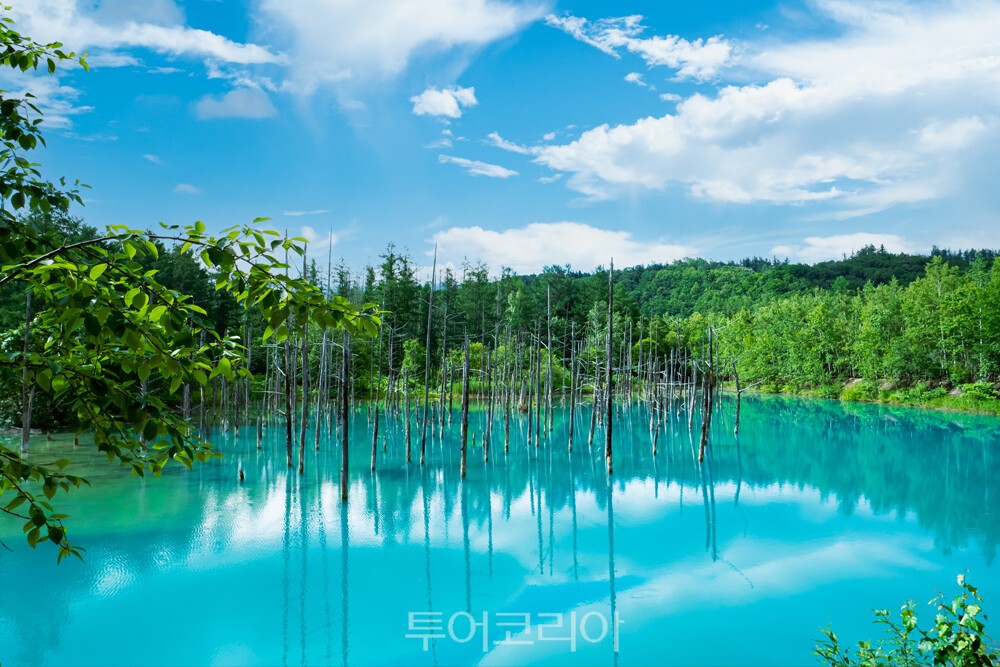 청의 호수 패치워크 로드 흰수염 폭포   /사진-모두투어