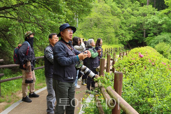 사진 / 까막딱다구리 탐조 현장_국립수목원 제공