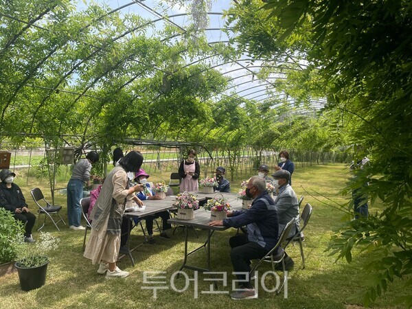 김제 꽃다비팜. /사진-전북자치도