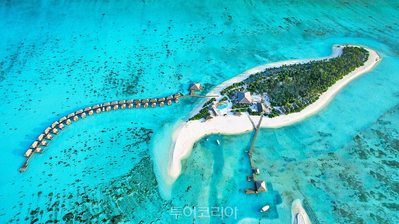 코쿤 몰디브 /사진-투어민