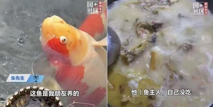 [사진=bastillepost]
