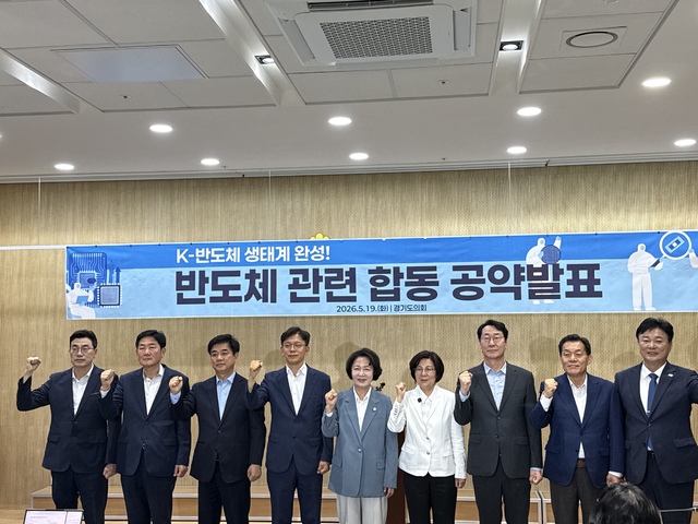 더불어민주당 김보라 경기 안성시장 후보 선거캠프 제공
