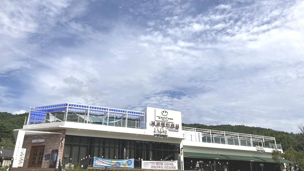 다솜차반