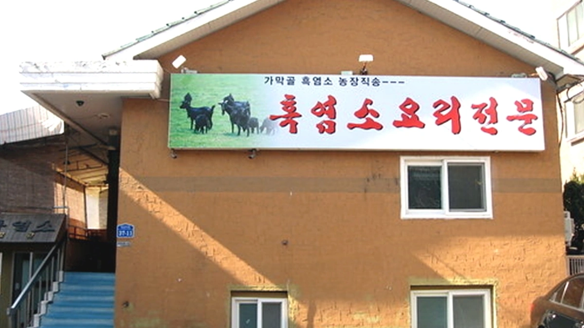유림