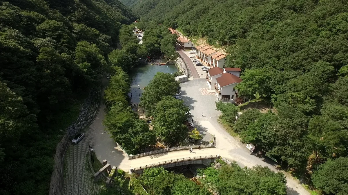 금산산림문화타운