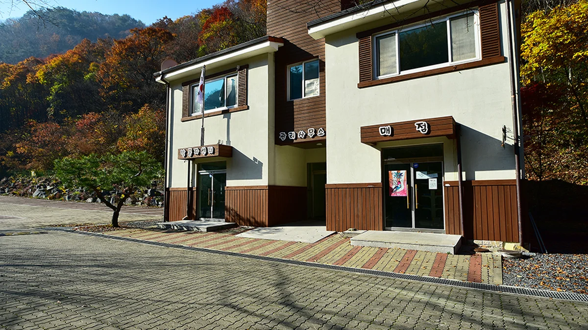 금산산림문화타운