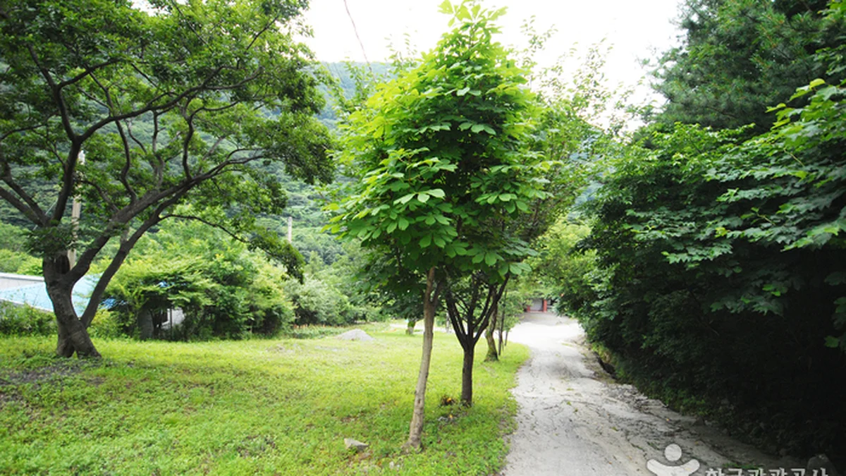 간월산