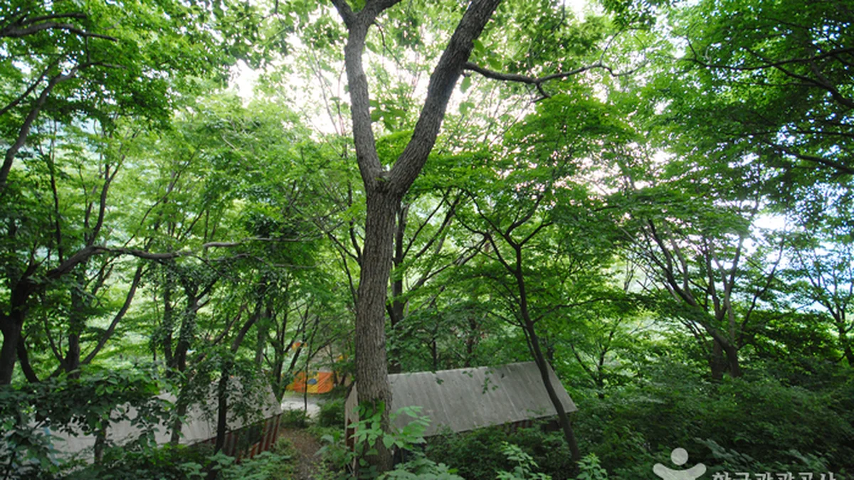 간월산
