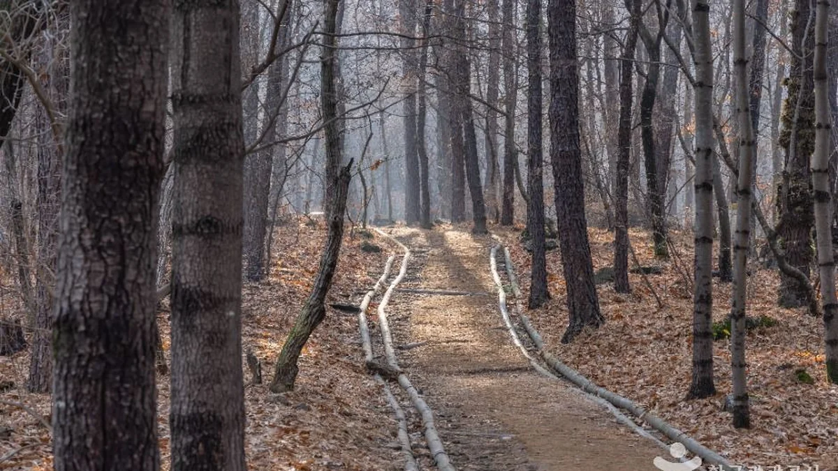 대모산도시자연공원