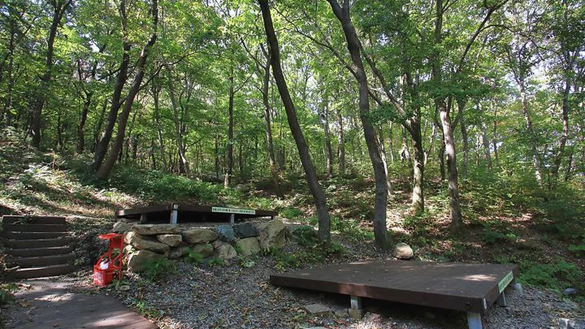 토함산자연휴양림