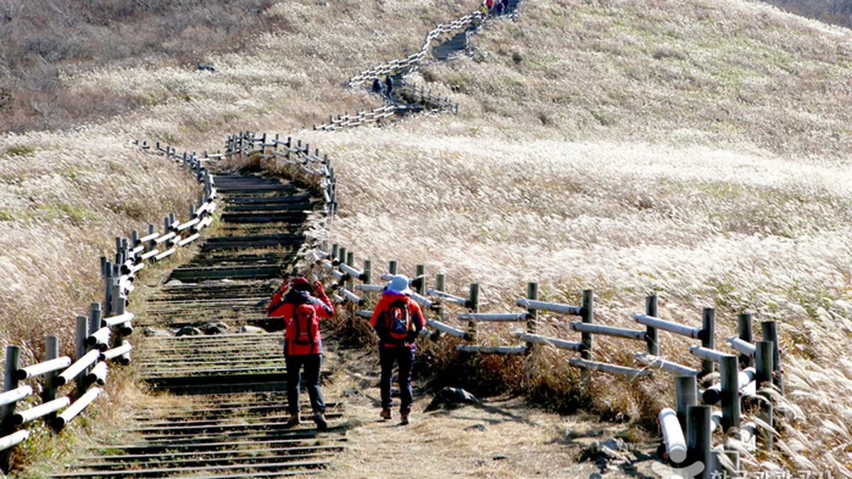 간월산