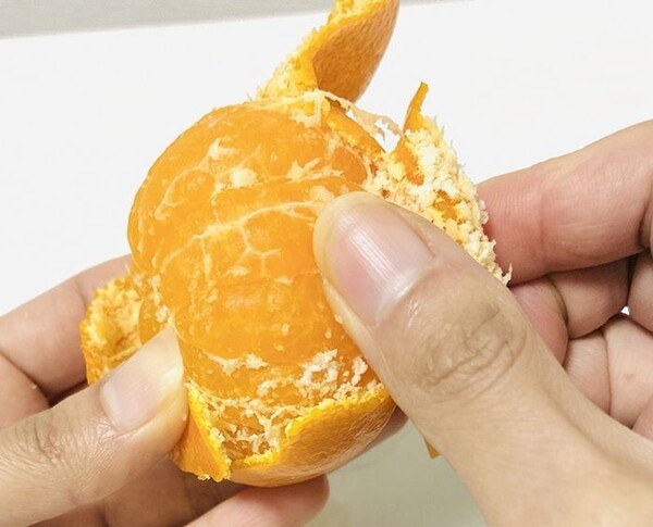 kurashinista