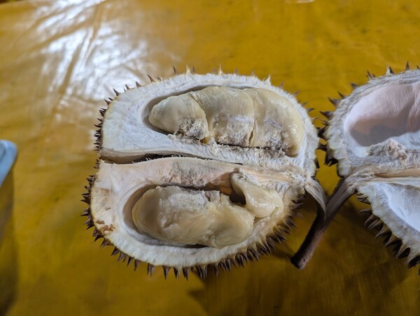 eat-durian