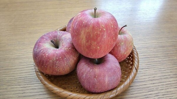 kurashinista