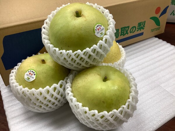 koboya