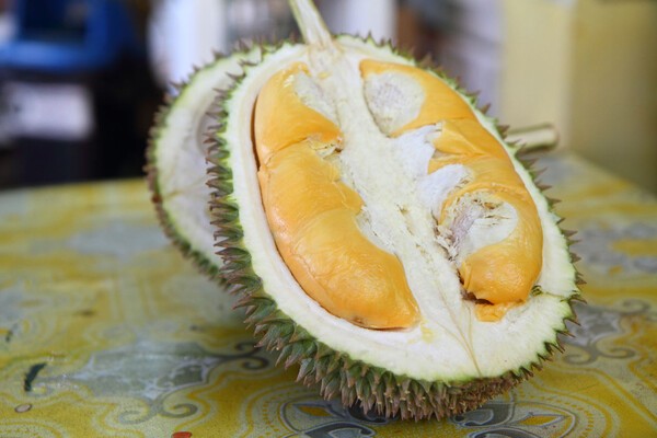 blog-tourismmalaysia
