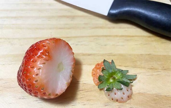 grapee