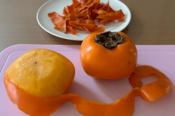 kurashinista