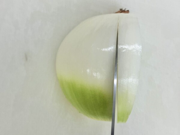 vegetablescience